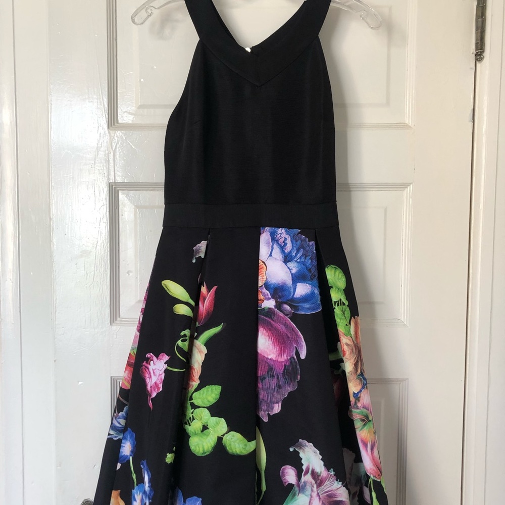 Ted Baker Floral Skater Dress